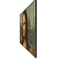 Samsung televisor 55" the fram