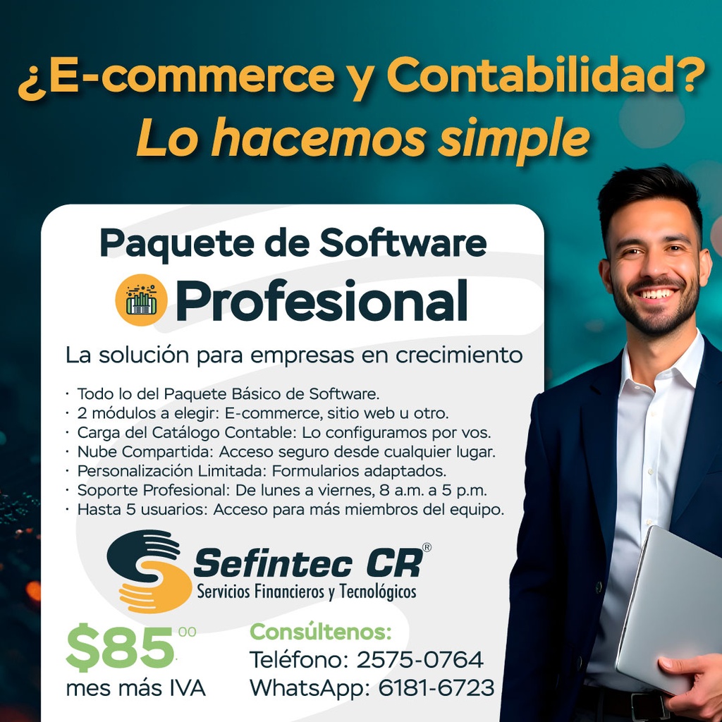 Paquete Profesional Software